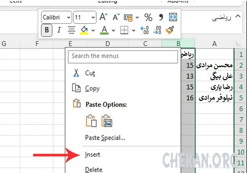 آموزش اضافه کردن ستون جدید به اکسل - Insert Columns in excel