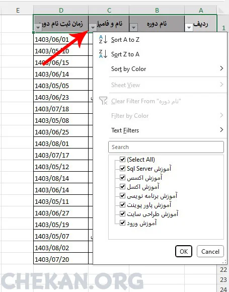 Sorting in Excel- مرتب سازی داده ها در اکسل – Sorting در اکسل – نمایش داده های دلخواه در اکسل – محدود کردن داده های – تجزیه و تلیل داده ها - 