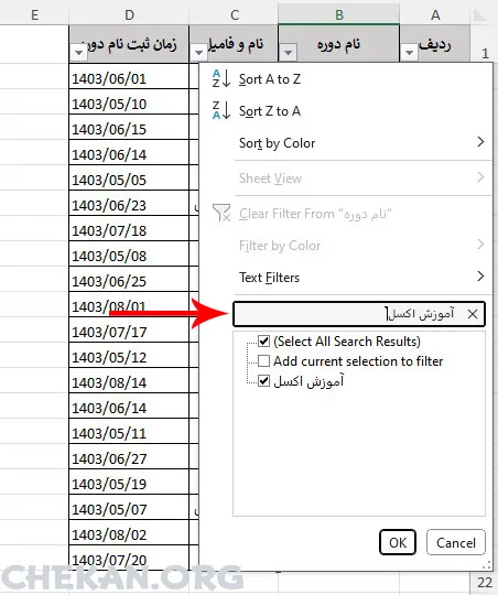 Sorting in Excel- مرتب سازی داده ها در اکسل – Sorting در اکسل – نمایش داده های دلخواه در اکسل – محدود کردن داده های – تجزیه و تلیل داده ها - 