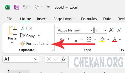 Format Painter in Excel-Copy cell style in Excel-Format Painter در اکسل-کپی استایل سلول ها در اکسل