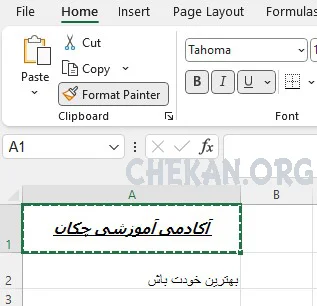 Format Painter in Excel-Copy cell style in Excel-Format Painter در اکسل-کپی استایل سلول ها در اکسل